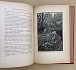 Жюль Верн. Великолепная Ориноко. «Le Superbe Orénoque». Иллюстрации Жоржа Ру. 1910 год